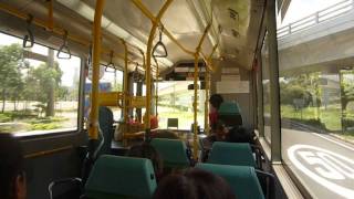 [Hong Kong Bus]大嶼山青年JNP6122GR PP3171@B2X 深圳灣大橋