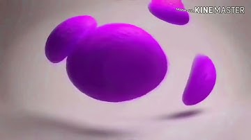 TSSSNFBAL in Too Ruins Tree