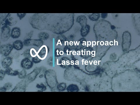 تصویری: ویروس لاسا چیست؟