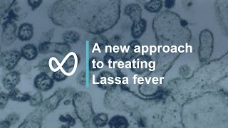 A new approach to treating Lassa fever