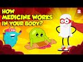 How Medicine Works in Human Body? | How Your Body Process Medicine? | The Dr. Binocs Show