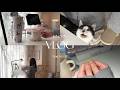【Vlog】一日中家で過ごす35歳独身女と猫の日常｜ブランド梱包作業｜newネイル｜ひな祭りetc