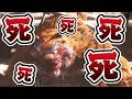 150回死んだら即坊主の『黒神話(全ボス撃破)』 #3