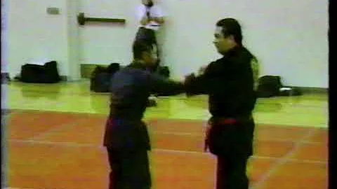 1998 San Jose Gasshuku - Prof James Muro "Go With ...