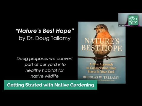 Getting Started with Native Gardening