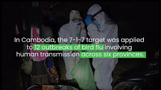 Using 7-1-7 for Performance Improvement in Cambodia