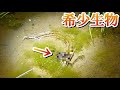 シマヘビがあの激レア生物に食われてた