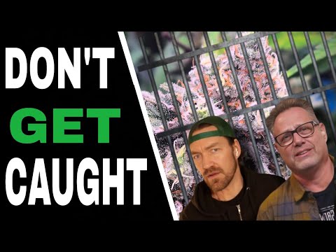How to Keep Your Cannabis Grow on the Downlow
