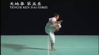 Waza Tenchi Ken Dai (Ikkei , Nikei, Sankei, Yonkei, Gokei ,Rokkei ) Shorinji Kempo