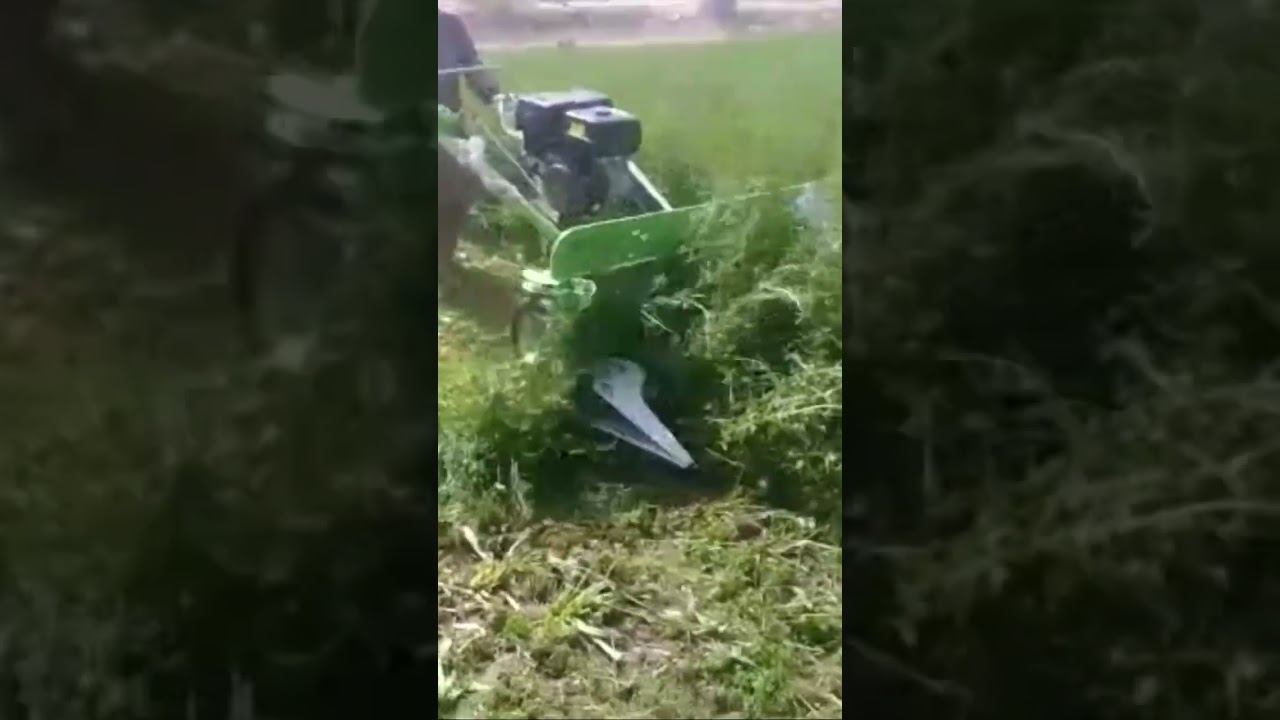 Animal Fodder Cutter Machine 