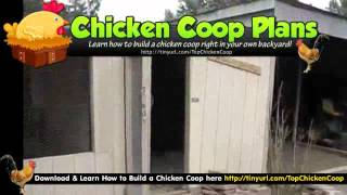 Get Chicken Coop Plans here http://tinyurl.com/GetChickenCoopDesigns The most important thing to remember when you want to 