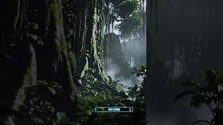 Amazon Jungle Ke Sabse Chote Aur Dangerous Jeev 😱