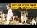 Sharma Dairy Farm Deoria UP