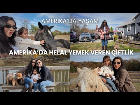 Living in America #30 | WE FOUND A HORSE RANCH THAT SERVES HALAL FOOD! 🐎 Family Sunday Mini Vlog