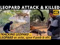 Leopard attack on villagers    leopard         tracking leopard