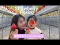 いちご狩りで2歳の娘が◯◯個食べた😳🍓🍓