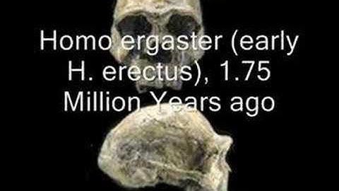 Evolution: Where