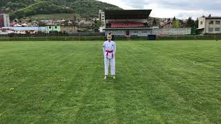 Tamara Morovafinal Round 3Cadet Color Belt-Femalesvk