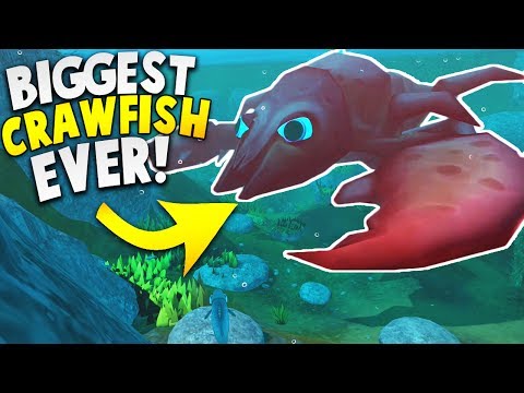 THE BIGGEST AND MOST DANGERSigns CRAWFISH IN THE WORLD! | Let's Play Feed and Grow Fish Gameplay