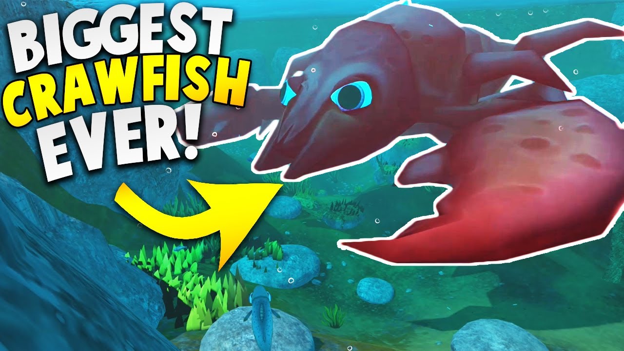 roblox download THE BIGGEST AND MOST DANGEROUS CRAWFISH IN THE WORLD! | Let's Play Feed and Grow Fish Gameplay