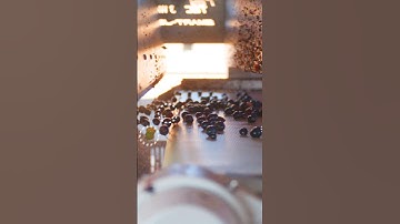 How Dionysos Sorting Machine Removes Dry Grapes for Better Wines | RAYTEC VISION SpA