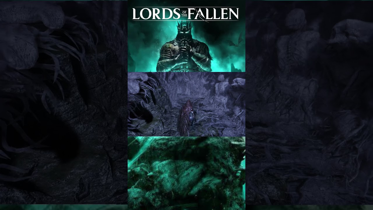 Oh my apologies for interrupting #lordsofthefallen
