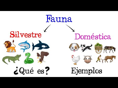 Video: Fauna silvestre beneficiosa: información sobre animales útiles en un jardín