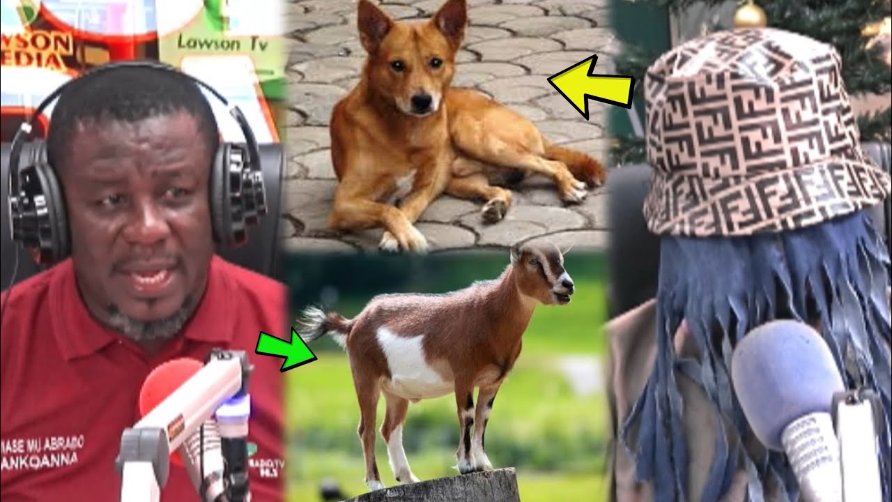 46 Year Old Man Sh0ckingly Reveals How He Ch0pped Dogs 🐕, Goats 🐐 , Cow 🐄 & Many Other Animals😳🤔