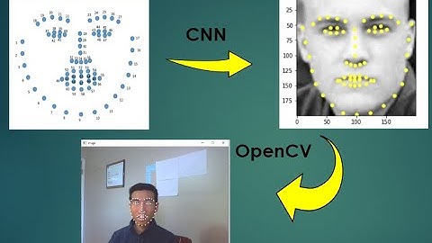 Facial Landmark dection in real time