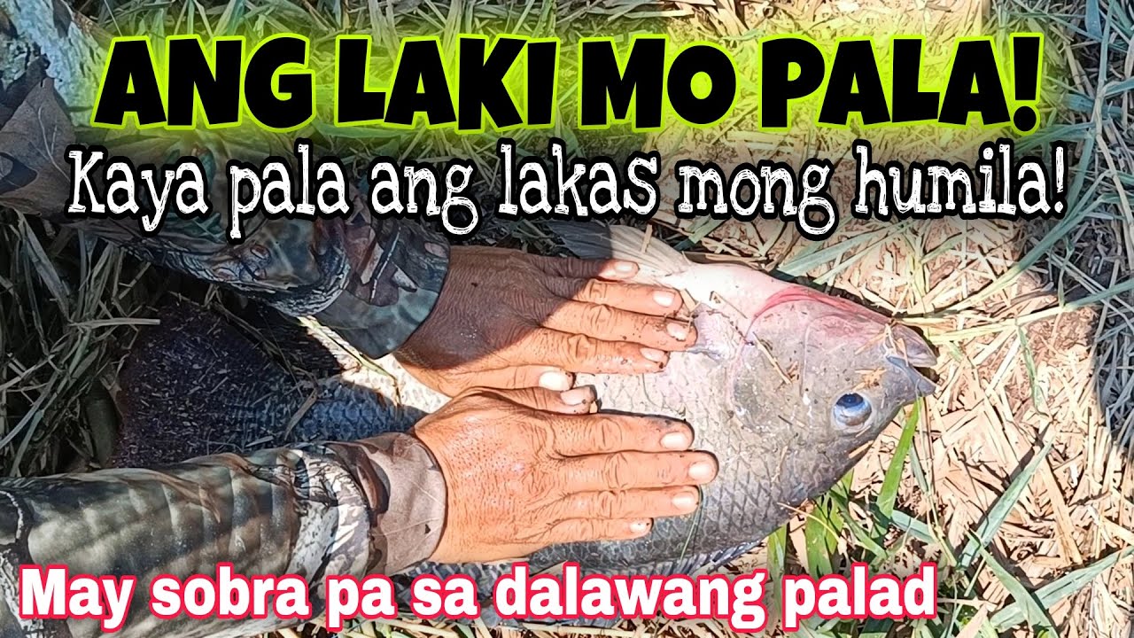 KAYA PALA GRABE KANG MAKAHILA ANG LAKI MO PALA/AIRGUN FISHING/MHEDDS JOE TV/VLOG#513