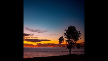 Sunbyonic - Behavior of curve