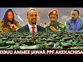 ODUU AMMEE Jawar M Bilxiginaf Akekachisaa Waranii RIB Lolii Akka Dhabatuu Gafatee Injifanoo WBO ODUU AMMEE Jawar M Bilxiginaf Akekachisaa Waranii RIB Lolii Akka Dhabatuu Gafatee Injifanoo WBO