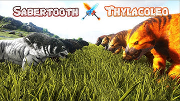 Sabertooth vs Thylacoleo - ARK Survival Evolved
