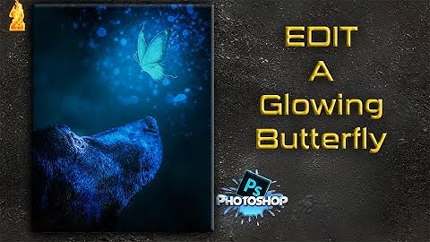 How To Create A Glowing Butterfly In Photoshop And PicsArt