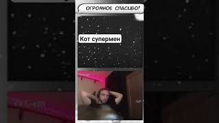 Чуть чуть подожди #memes #meme #streamer #cat #shorts