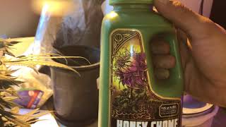 Yerba buena gardens bubba kush