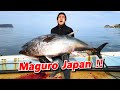 [Eng Sub] Maguro | ดำน้ำจับฮงมากุโร่กับมือ | SUGOI JAPAN | 338