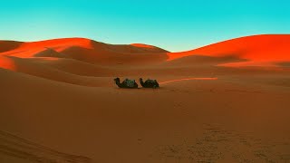 Download Lagu Perspectiv - Estrela Do Mar (Cafe De Anatolia Songs) MP3