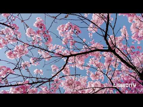 Nixxy Rain & Lauren Walton - About Us