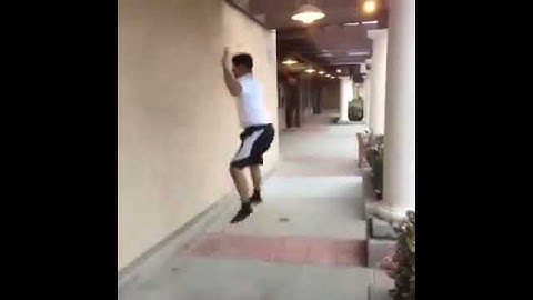 David Lopez Vine How to fly Sort of #stopmotion #remake #magic #funny