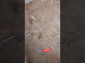 marble special effects @asianpaints stucco marble special effects