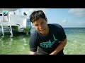 Finding Stars at Starfish Point! - Members Exclusive Preview