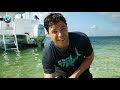 Finding Stars at Starfish Point! - Members Exclusive Preview