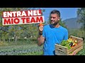 Vieni a LAVORARE nella MIA Azienda Agricola