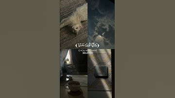 [ إِنَّ اللَّهَ وَمَلَائِكَتَهُ يُصَلُّونَ عَلَى النَّبِيِّ ۚ ]- سورة الأحزاب - الشيخ / أحمد خضر