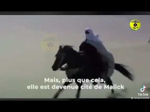 مام شيخ الحاج مالك سي رضي الله عنه