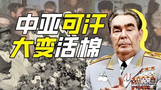 績效人如何種棉花？－神奇組織42【小約翰可汗】