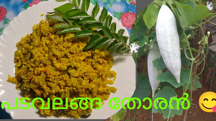 പടവലങ്ങ കൊണ്ട് ഇതു പോലെ ഒന്നു ചെയ്തു നോക്കു 👌|bottle gourd thoran #youtube #food #recipe #foodie