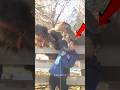 #galtisemistake 😂🤪🤣🐪 #ফানি_ভিডিও #camel #journalist #memes #laugh #funnyanimals #youtubeshorts #subs