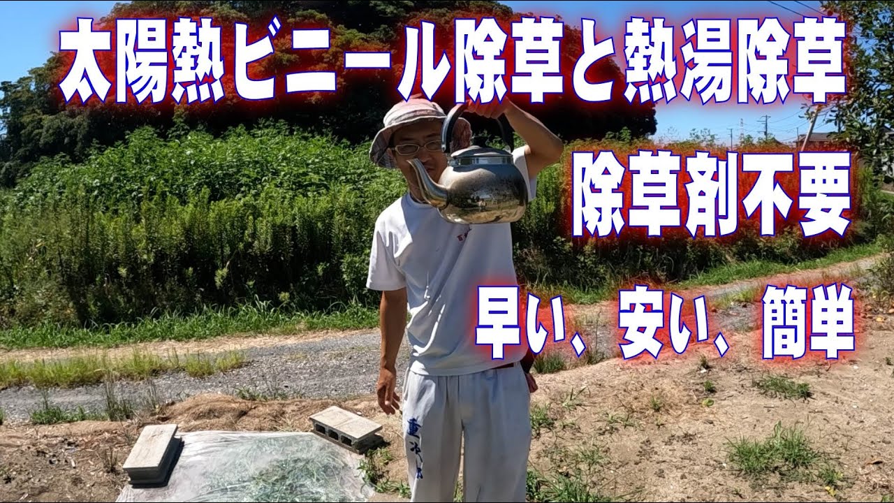 太陽熱ビニール除草と熱湯除草を試してみました　早い、安い、簡単